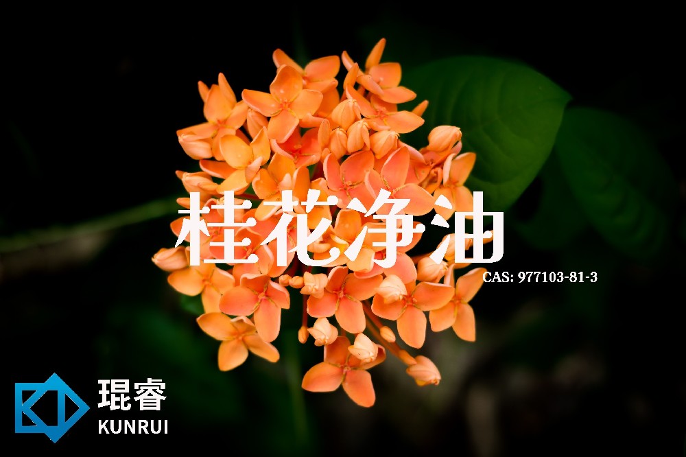 桂花净油 Osmanthus Absolute——琨睿呈现东方花香的天然之选